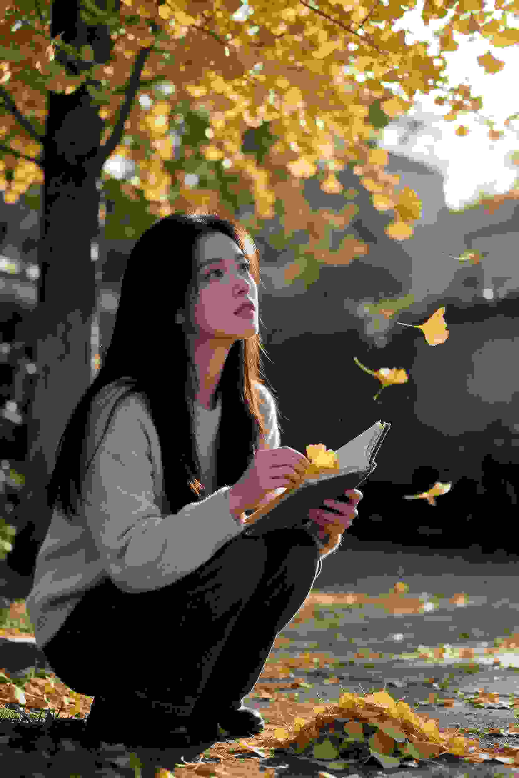 出包王女